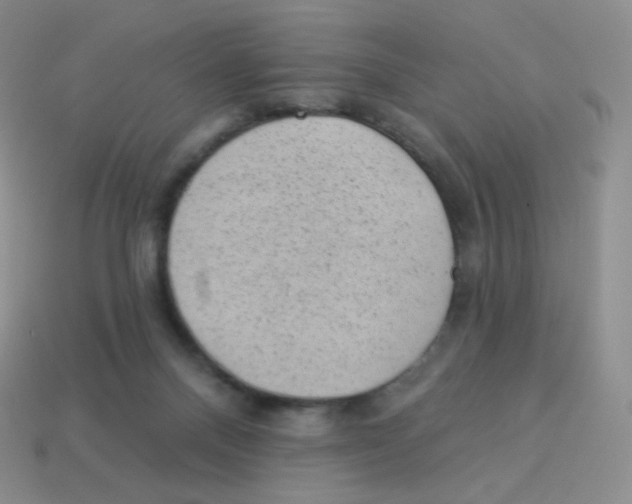 X0000113900120200910221446
