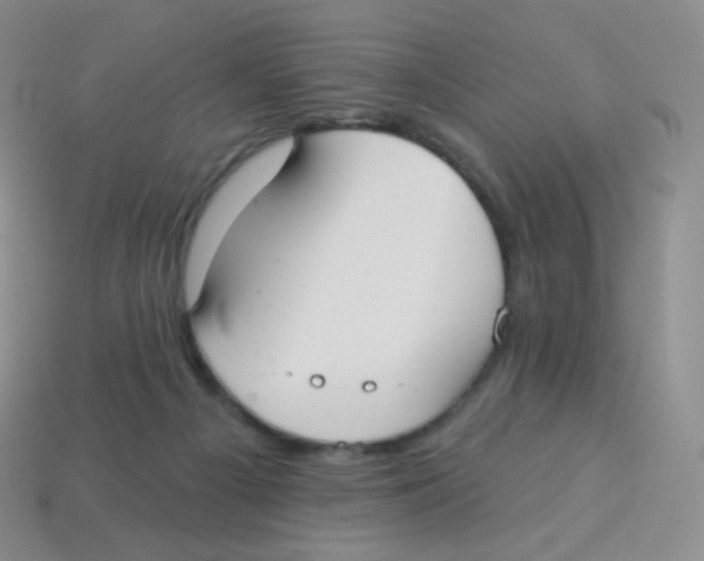 X0000113900121200910221446
