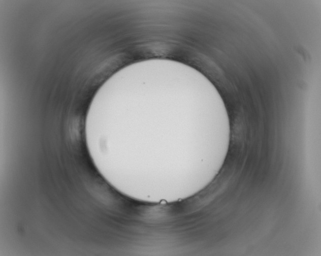 X0000113900122200910221446