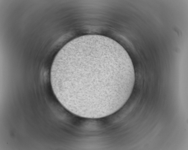 X0000113900123200910221446