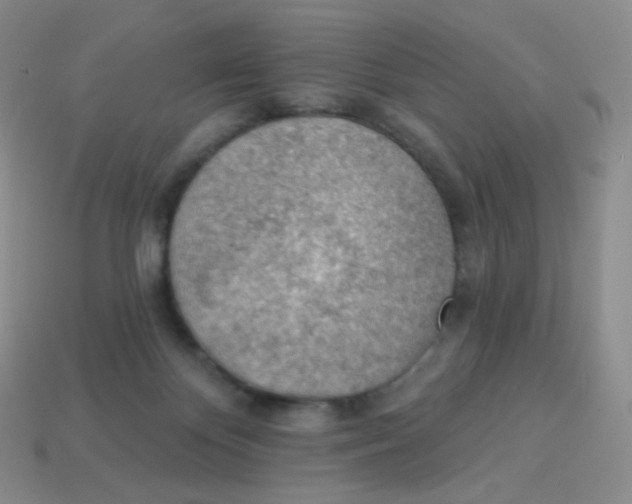 X0000113900124200910221446