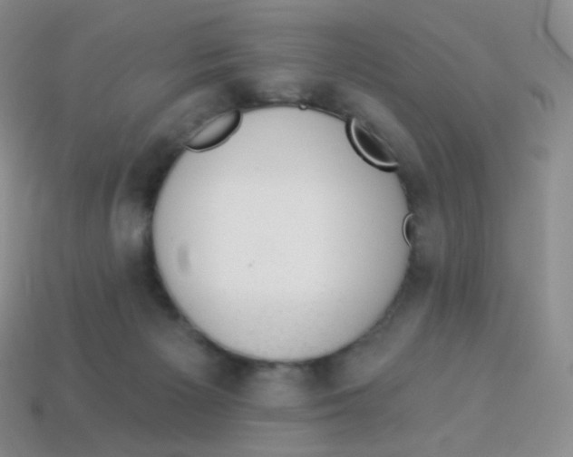 X0000113900125200910221446