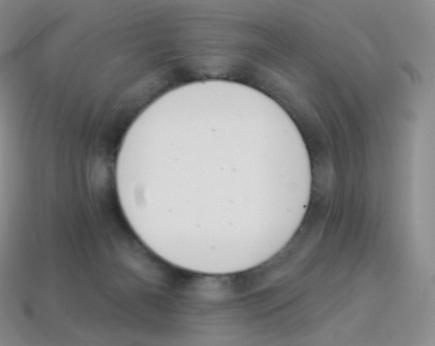 X0000113900126200910221446