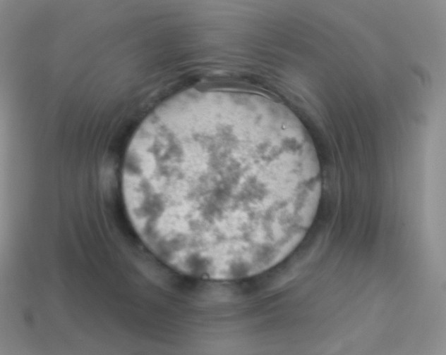 X0000113900127200910221446