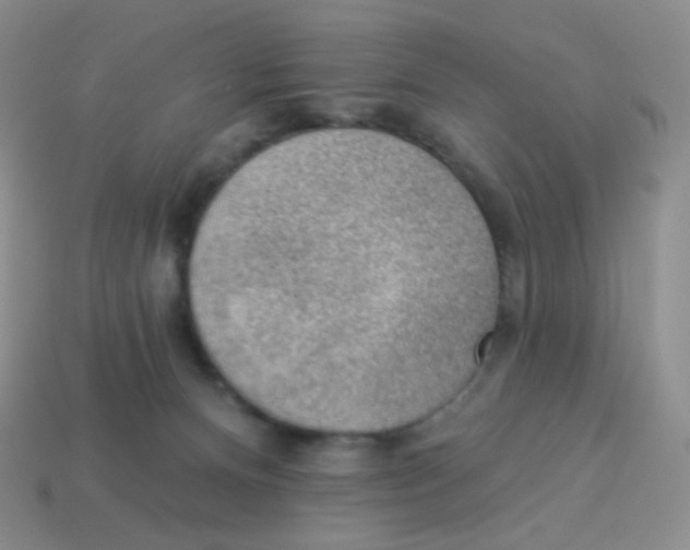 X0000113900128200910221446