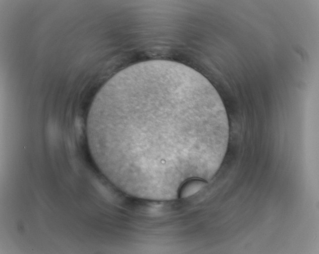 X0000113900130200910221446