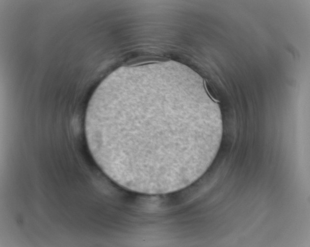 X0000113900131200910221446