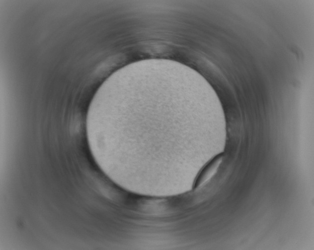 X0000113900132200910221446