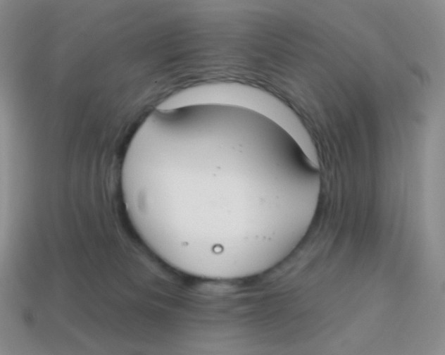 X0000113900133200910221446