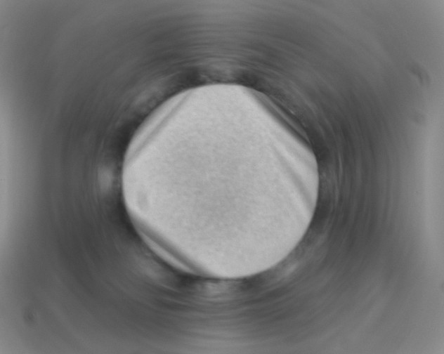 X0000113900134200910221446
