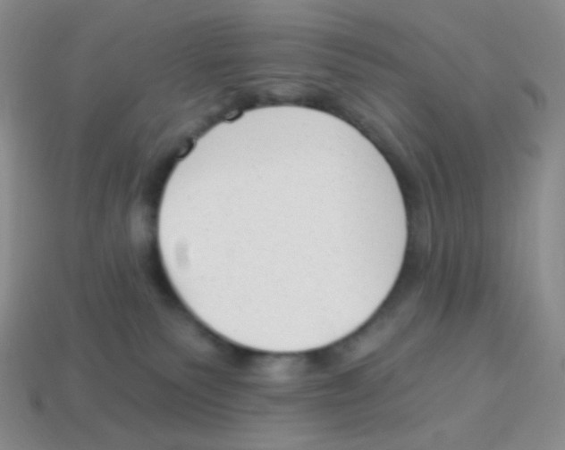 X0000113900135200910221446