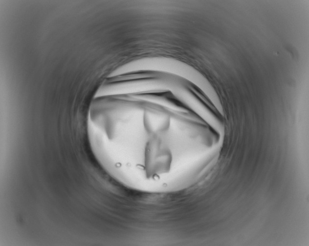 X0000113900136200910221446
