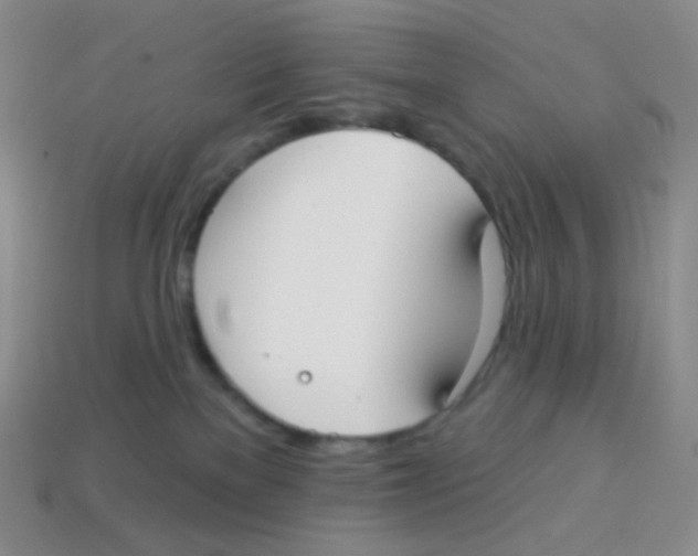 X0000113900137200910221446