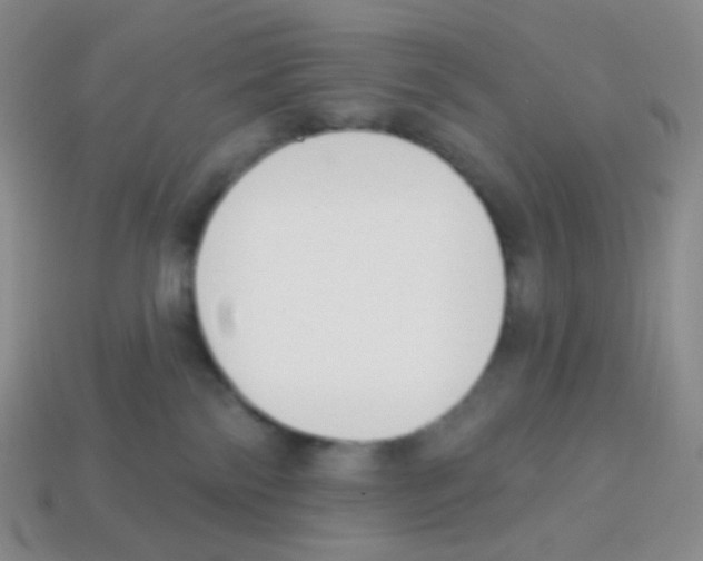 X0000113900138200910221446