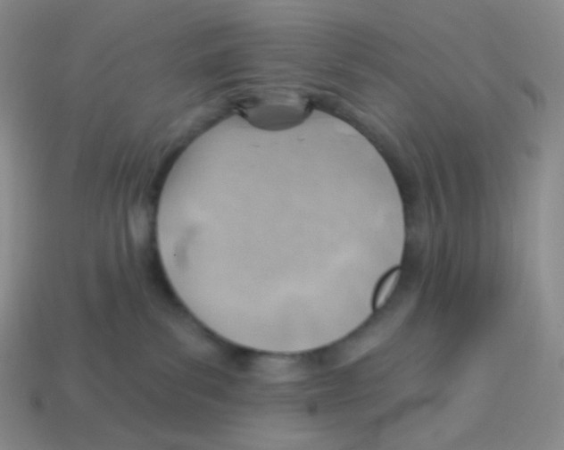 X0000113900139200910221446