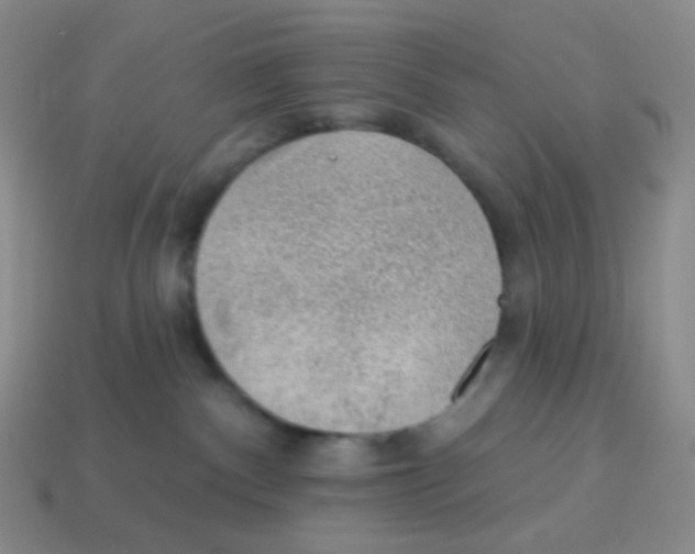 X0000113900140200910221446
