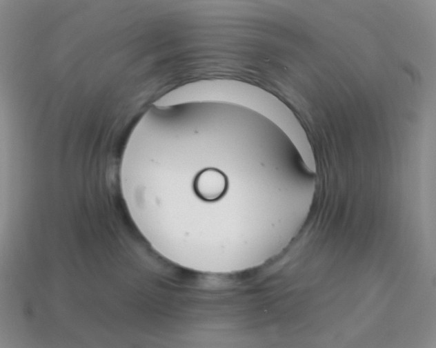 X0000113900141200910221446