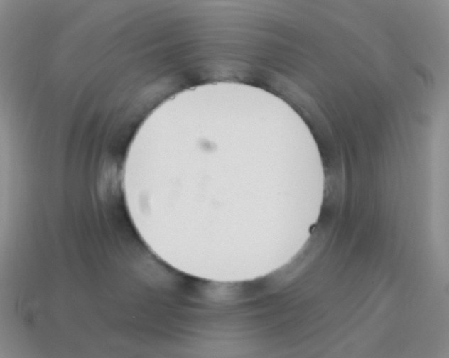 X0000113900142200910221446