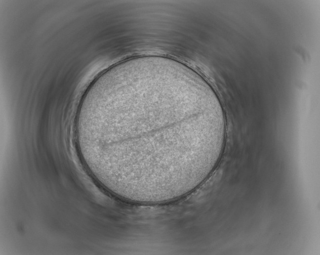X0000113900145200910221445