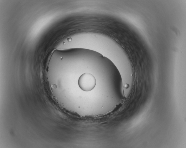 X0000113900146200910221445