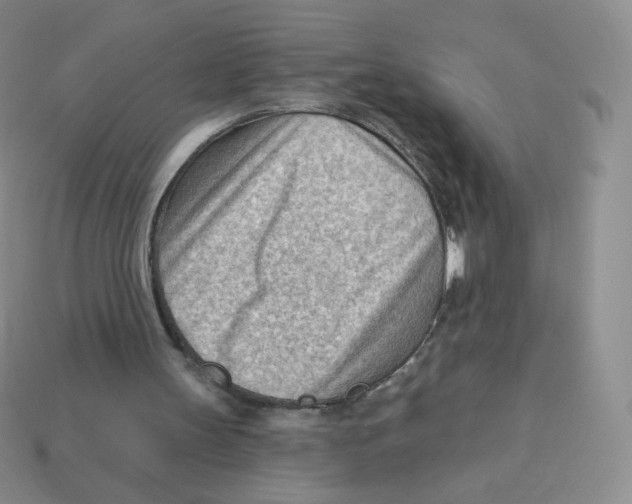 X0000113900147200910221445