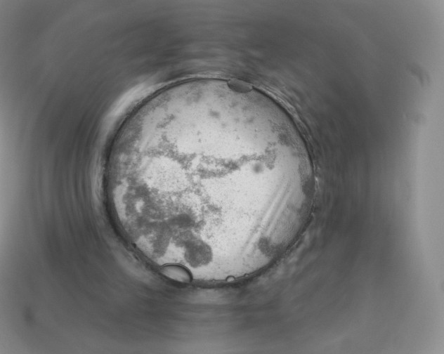 X0000113900149200910221445