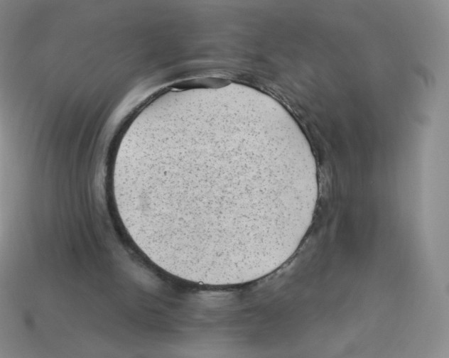 X0000113900150200910221445