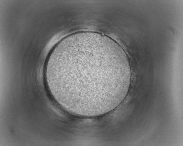 X0000113900151200910221445