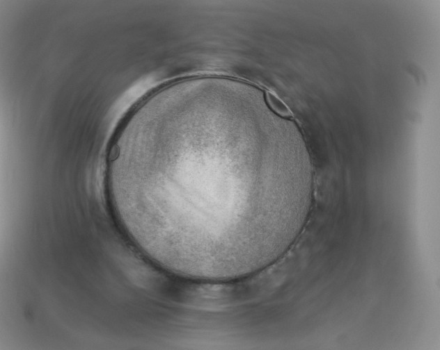X0000113900152200910221445