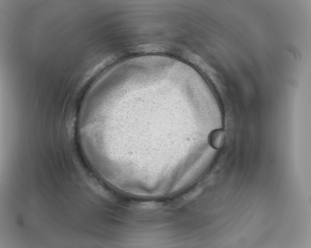 X0000113900153200910221445