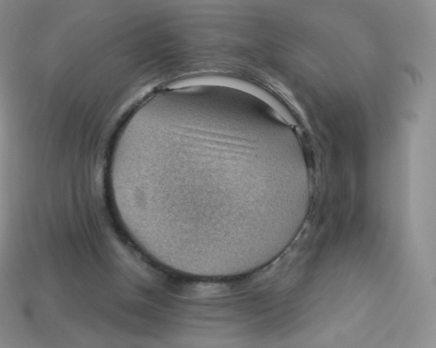 X0000113900154200910221445