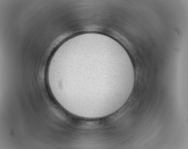 X0000113900155200910221445