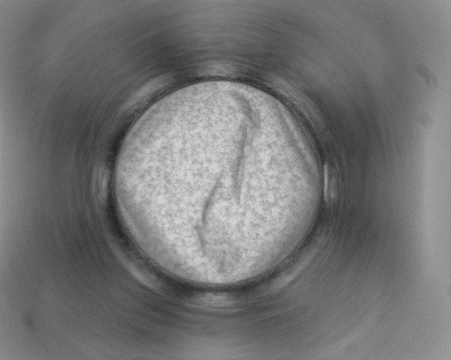 X0000113900157200910221445
