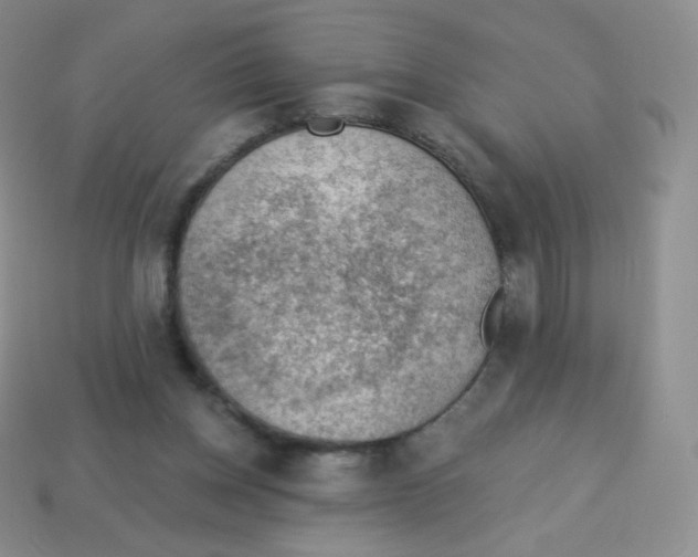 X0000113900158200910221445