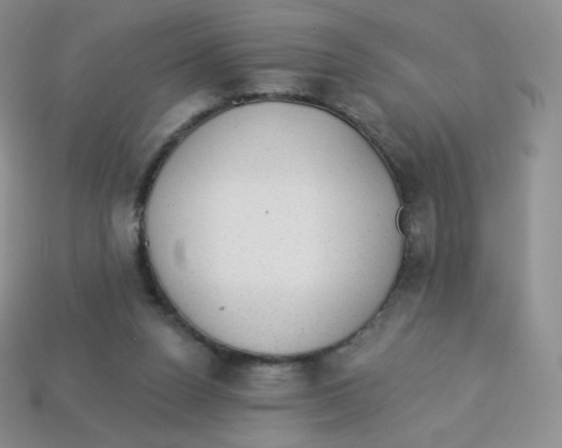 X0000113900160200910221445