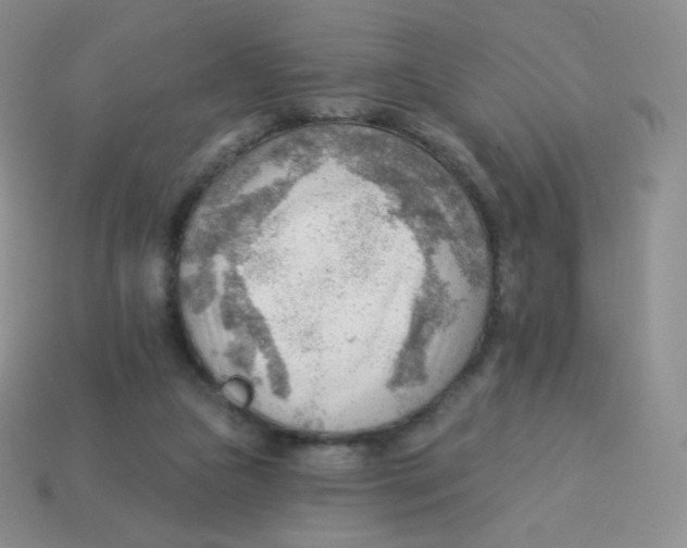 X0000113900161200910221445