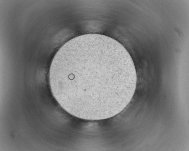 X0000113900162200910221445