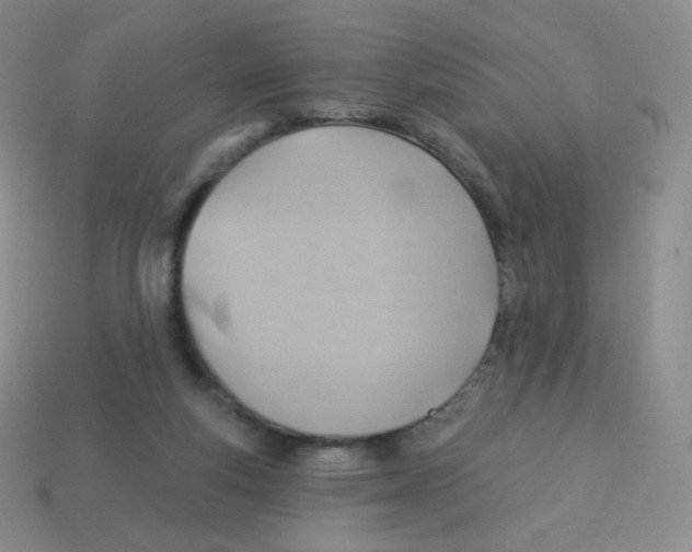 X0000113900163200910221445