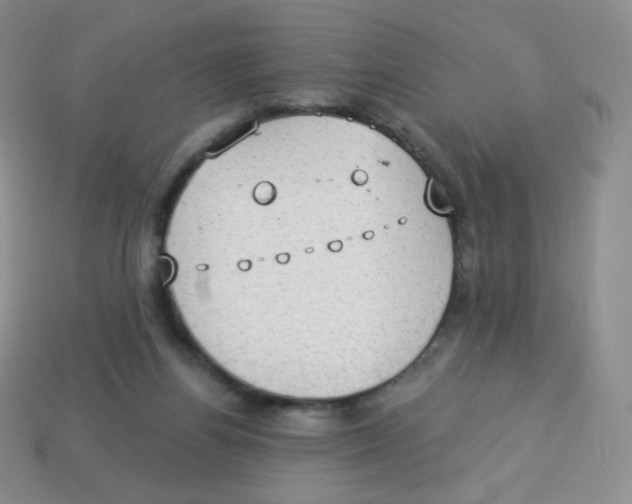 X0000113900164200910221445