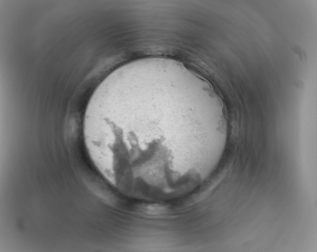 X0000113900165200910221445