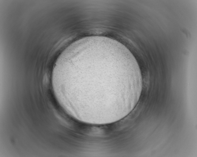 X0000113900166200910221445