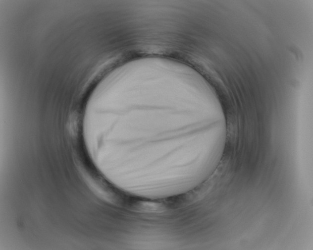 X0000113900167200910221445