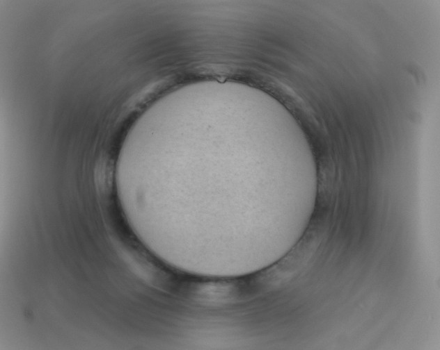 X0000113900168200910221445