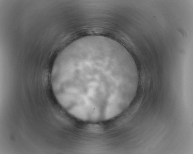 X0000113900169200910221445