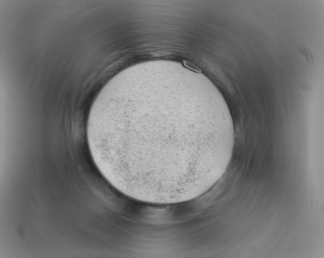 X0000113900170200910221445