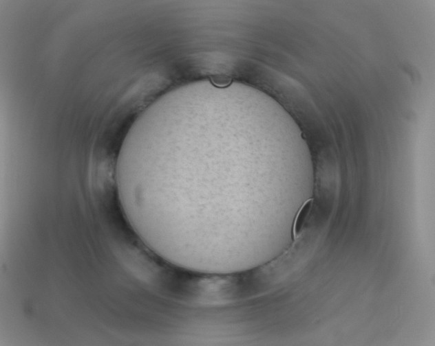 X0000113900172200910221445