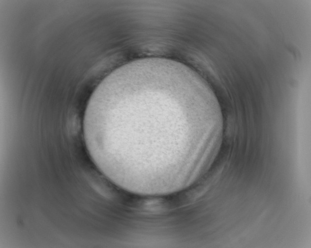 X0000113900173200910221445