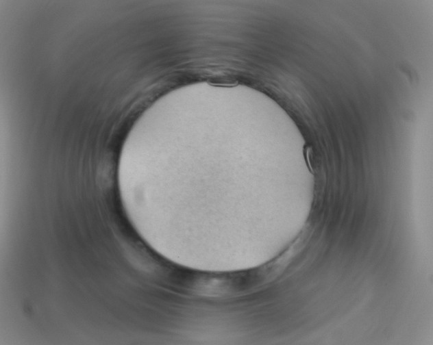X0000113900174200910221446