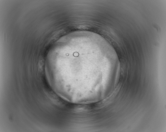 X0000113900175200910221446