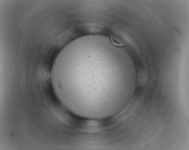 X0000113900176200910221446